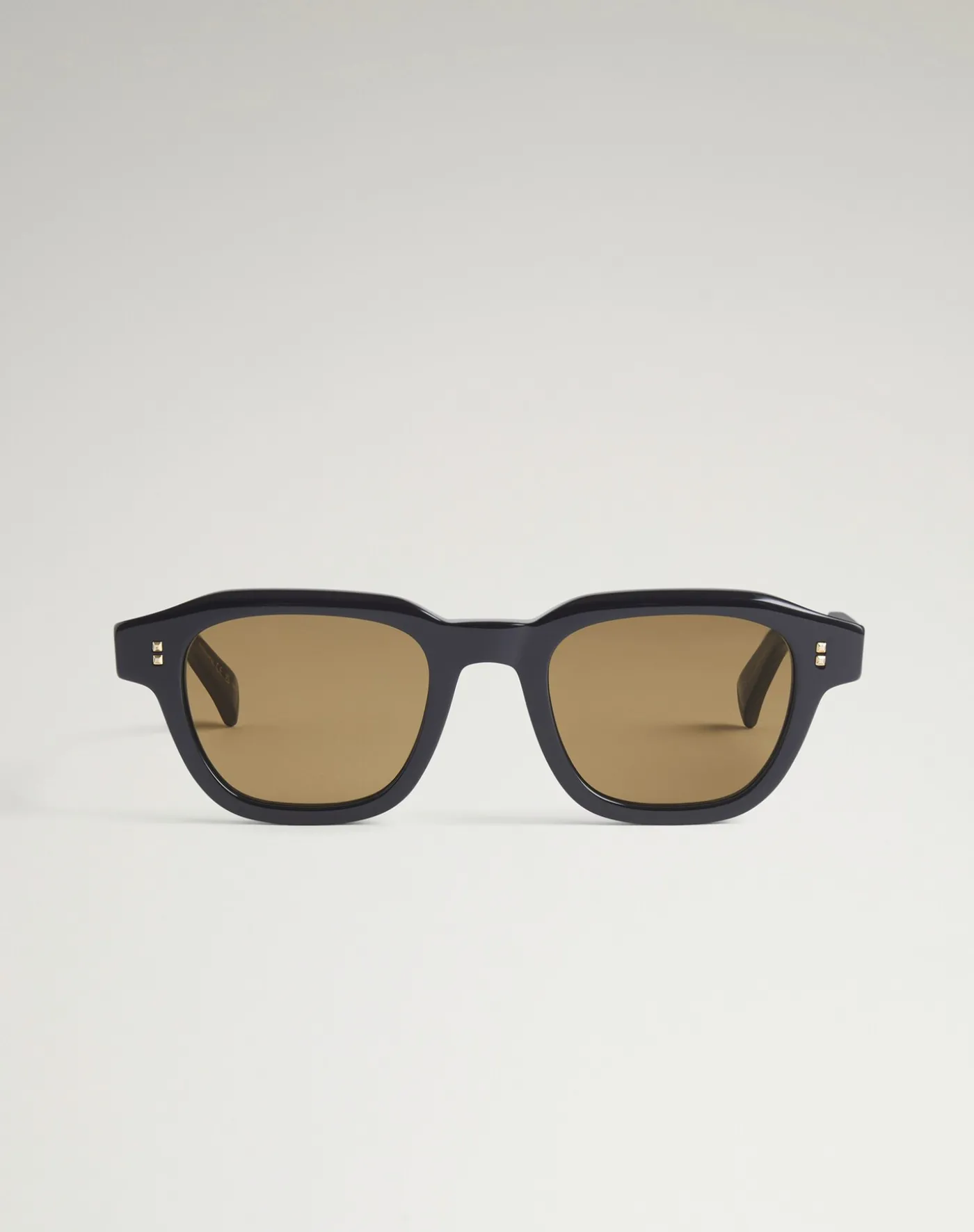 Heritage Hobnail Acetate Rectangular Frame Sunglasses