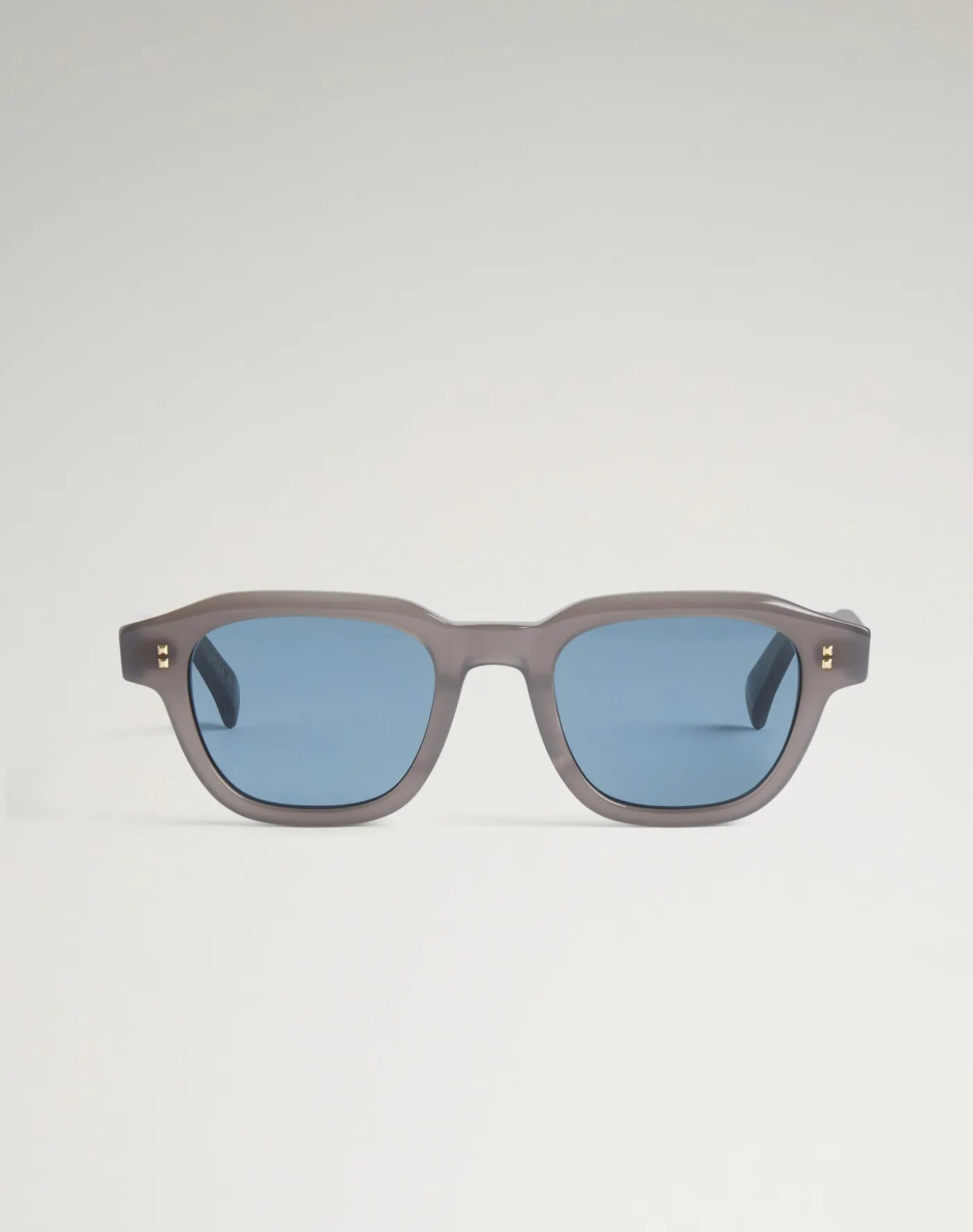 Heritage Hobnail Acetate Rectangular Frame Sunglasses