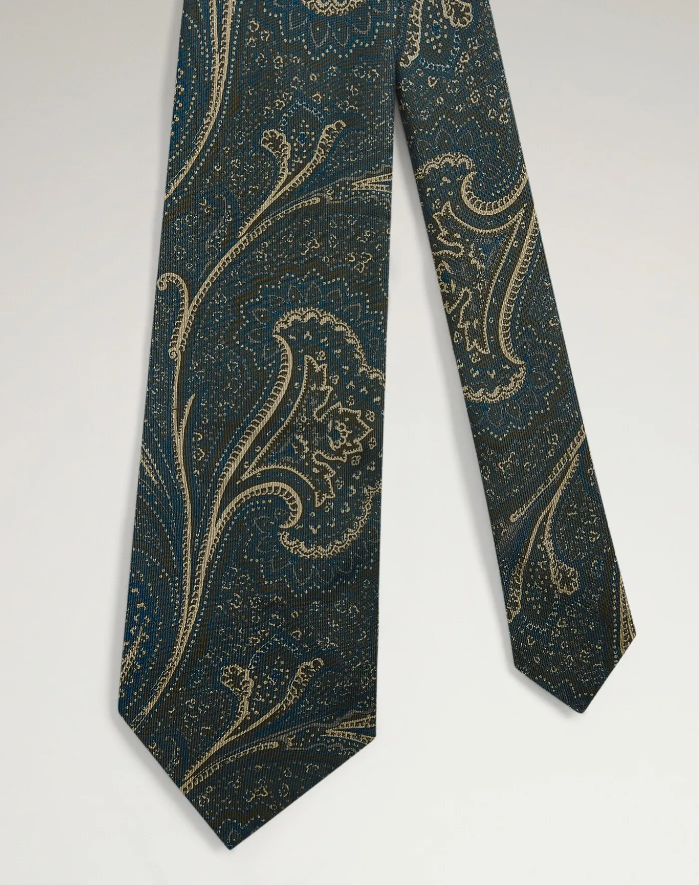 Silk Large Paisley Tie