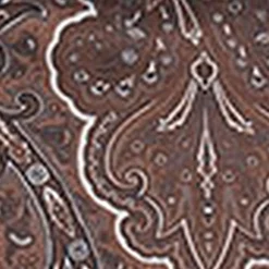 Silk Paisley Printed Evening Scarf